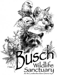 Busch Wildlife Sanctuary Logo