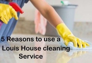 Best House Cleaning Services in St. Louis Area