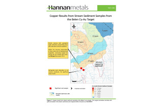 Hannan Metals Ltd., Wednesday, January 27, 2021, Press release picture