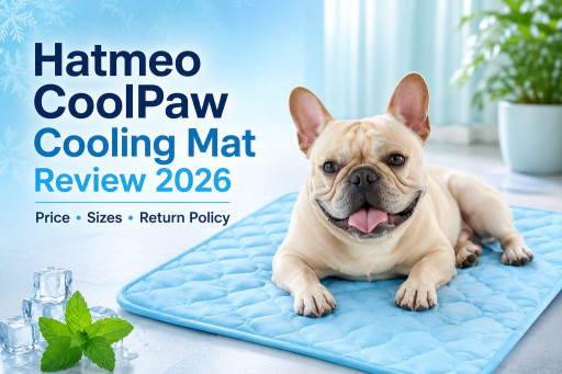 Hatmeo CoolPaw Cooling Mat Review 2026: Why Heat-Conscious Dog Owners Are Choosing a Cooler Place to Rest This Summer