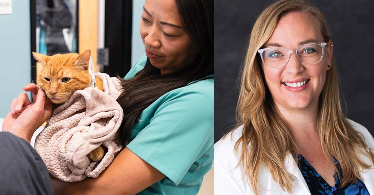 Veterinary Referral Center of Central Oregon Advances Neurosurgery Capabilities and Expands Specialty Team
