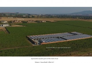 Illegal One-Acre Cannabis Cultivation in Sonoma County