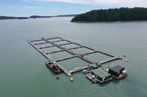 Statement Regarding Motion To Dismiss Appeal To Reinstate Two Steelhead Fish Farming Leases in Puget Sound