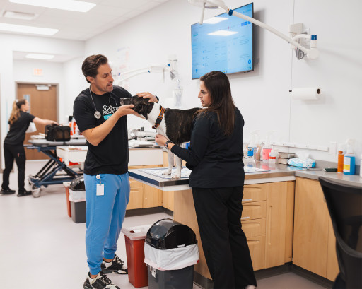 AcutePet Urgent Care Expands to South Jersey With Voorhees Opening November 7