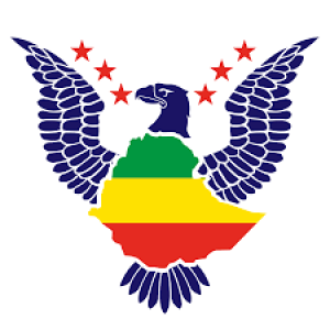 American Ethiopian Public Affairs Committee