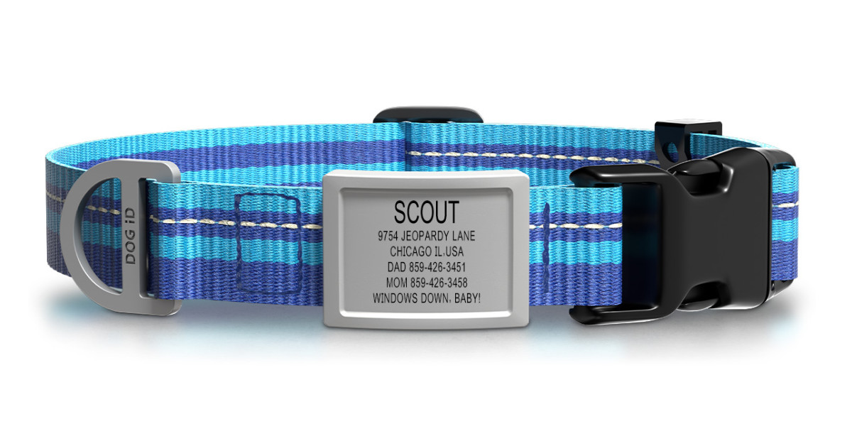 DOG iD Unveils Cutting-Edge Products, Setting a New Standard for Pet Safety