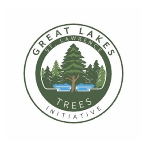 More Than 27 Million Trees Planted in Great Lakes St. Lawrence Region in 2024