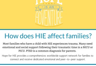 How does HIE affect families?