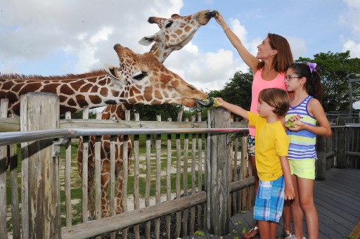 Zoo Miami Earns Certified Autism Center Designation