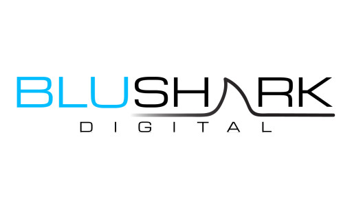 National Law Review Names BluShark Digital #2 Legal Marketing Agency for Lawyers & Law Firms