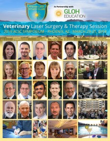Veterinary Laser Dentistry, Surgery and Therapy Session at the 2019 ALSC Symposium