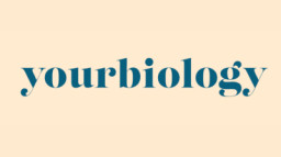 YourBiology
