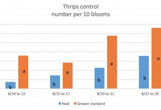 Thrips Results Heat vs. Grower Standard