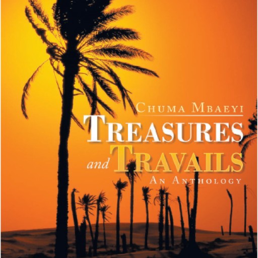 A Sleuth Delves into the World of Treasures and Travails in His Debut Poetry Collection