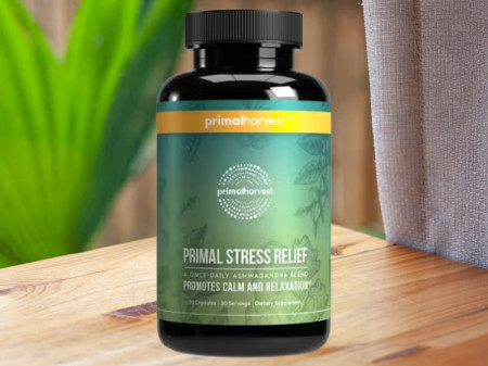 Best Stress Relief Supplement of 2025
