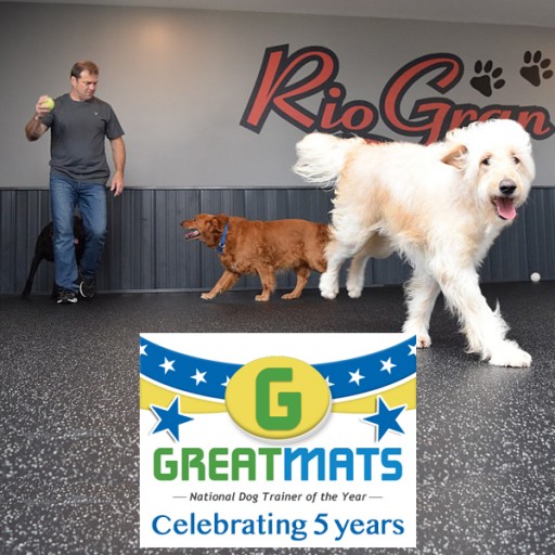 Greatmats Accepting Nominations for 5th Annual National Dog Trainer of the Year Award