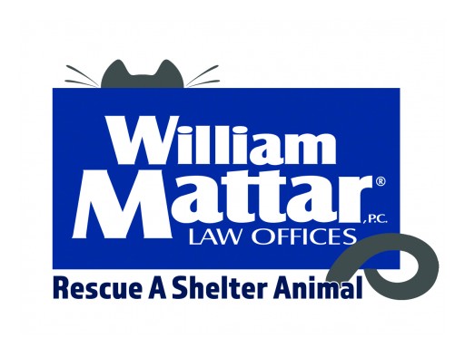 New York Car Accident Attorney William Mattar Hosts Pet Photo Contest During Rescue a Shelter Animal Campaign