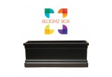 Bloomz Box - Logo