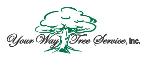 Your Way Tree Services, Now Serving the San Gabriel Valley