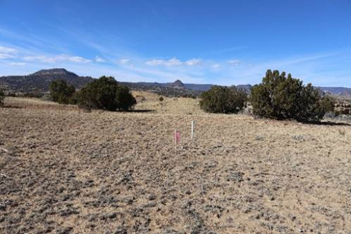 Ainos Activates Industrial-Scale Deployment Roadmap of Up to 20,000 Units, Advancing AI Infrastructure Integration in Semiconductor Production Environments