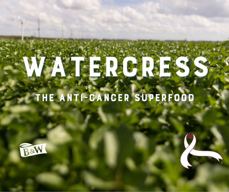 Watercress