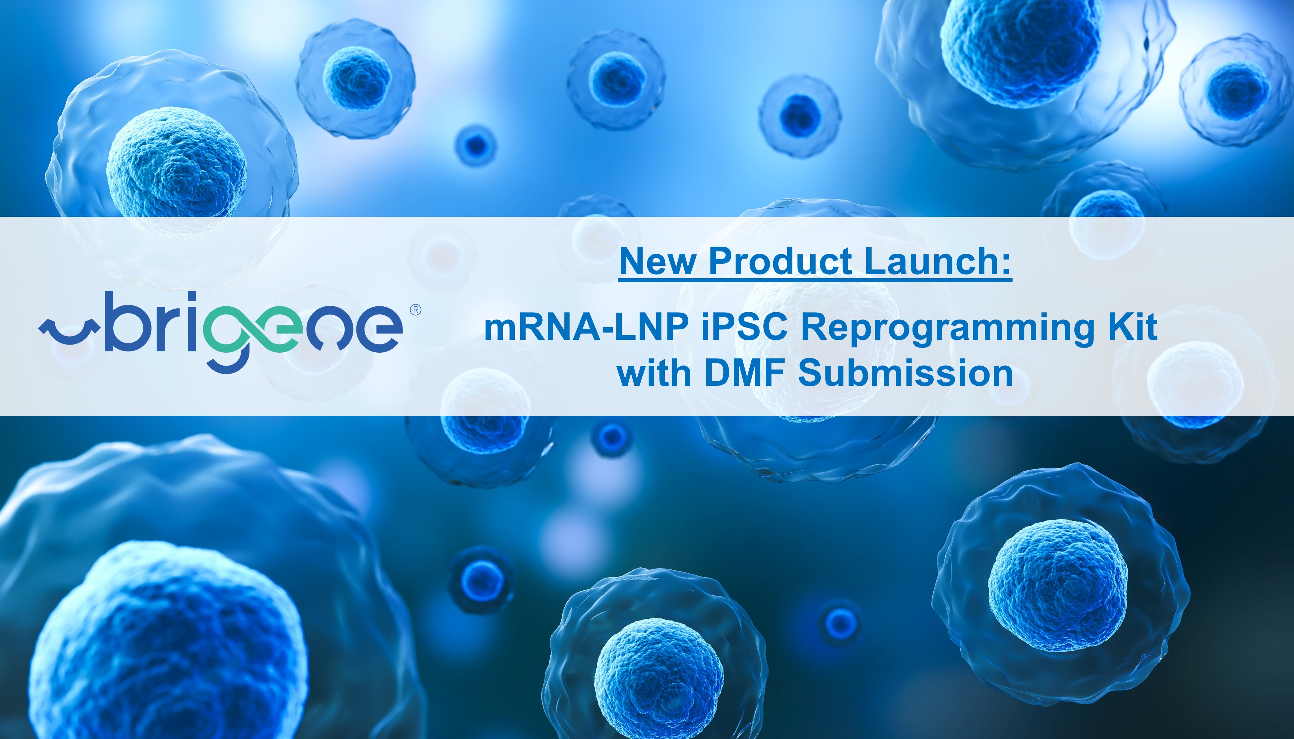 iPSC mRNA-LNP Reprogramming Kit with DMF