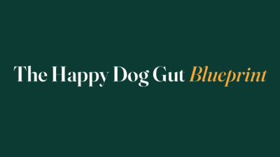 The Happy Dog Gut Blueprint