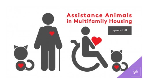 Grace Hill Releases New Compliance Course on Assistance Animals, Service Animals and Emotional Support Animals