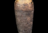 Sadigh Gallery Mummified Bird