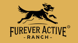 Furever Active