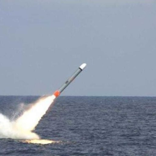 Cruise Missile Market Size by 2025: QY Research