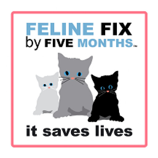 Survey Uncovers Reasons for Non-Adoption of Current Feline Spay/Neuter Recommendations