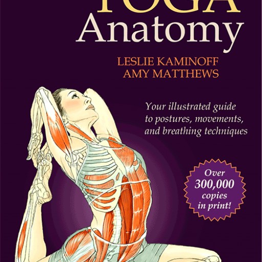 Yoga Teachers Will Get an Opportunity to Study With Leslie Kaminoff Author of Yoga Anatomy| Encinitas