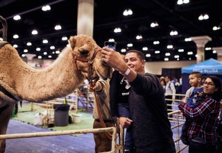 Ride a Camel at the Travel & Adventure Show in Boston on Feb 9 + 10! 
