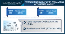 Protein Hydrolysate Market Outlook - 2026
