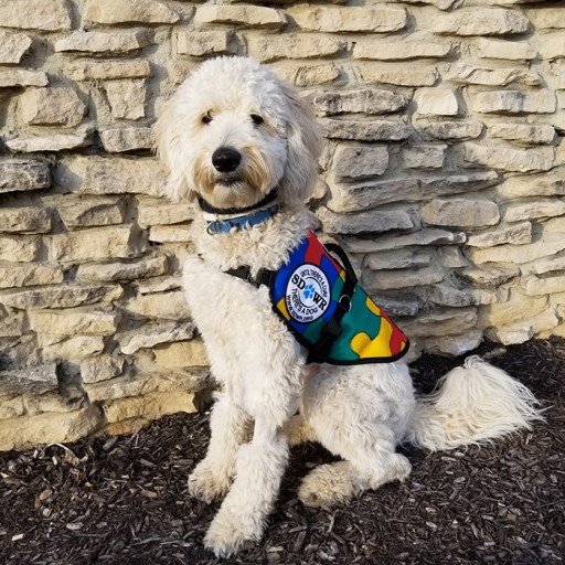 Highly Trained Autism Service Dog to Assist 11-Year-Old Child in Livingston, New Jersey