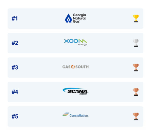 GeorgiaGasSavings.com Announces 2024 Best Natural Gas Providers in Georgia