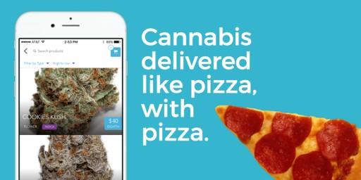 How to Do 420 the Right Way: Marijuana Card, Free Delivery, & Free Dominos All-in-One