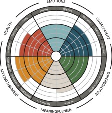 Flourishing Profile Example Results