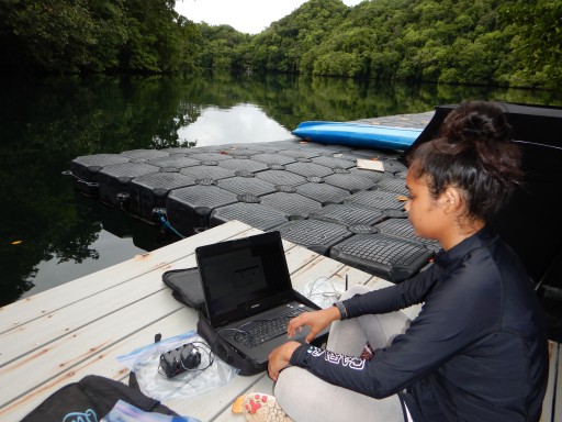 The Coral Reef Research Foundation Has Relied on Durabook's Rugged Computers for Over 14 Years