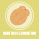 GiantBug Education, Inc.