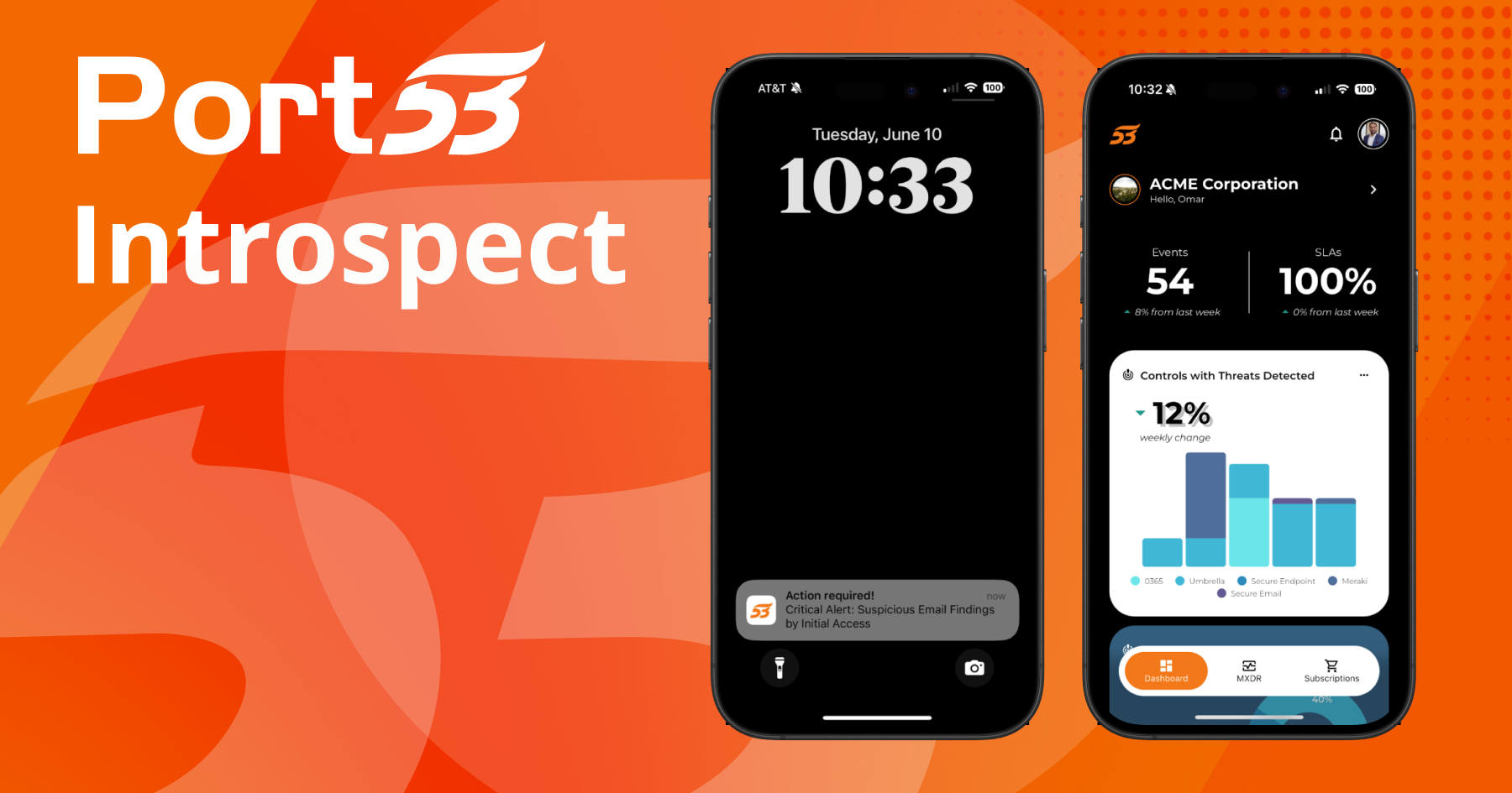 Port53 Introspect 