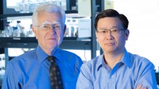 Gladstone investigators Robert Mahley and Yadong Huang