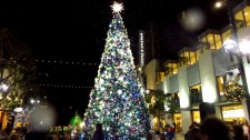 Snow in Santa Monica! Holiday Tree Events Use Snow to Create Happiness