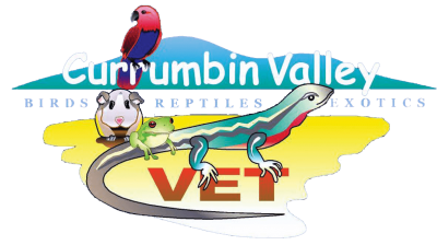 Currumbin Valley Bird, Reptile & Exotic Veterinary Services
