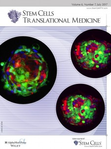 Cover of July 2017 Issue of Stem Cells Transnational Medicine Featuring SymbioCellTech