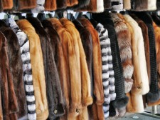Fur Storage NYC