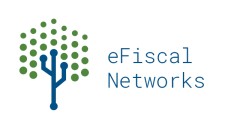 eFiscal Networks