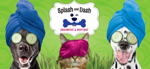 Splash and Dash Groomerie & Boutique Ranked a Top New Franchise by Entrepreneur Magazine