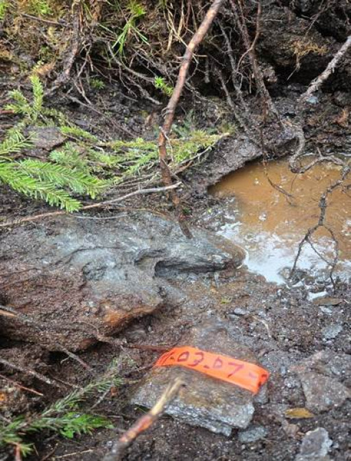 First Canadian Graphite Announces Significant New Discovery at Lac Guéret South